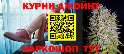 стафф Гатчина