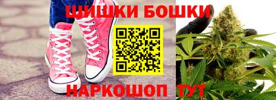 стафф Гатчина