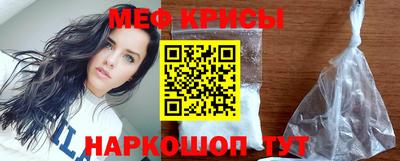стафф Гатчина