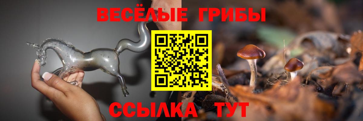 Псилоцибиновые грибы GOLDEN TEACHER Новосибирск